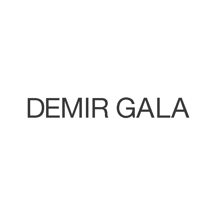 logos-DemirGala-cliente-proyecto-diseño-de-interiores